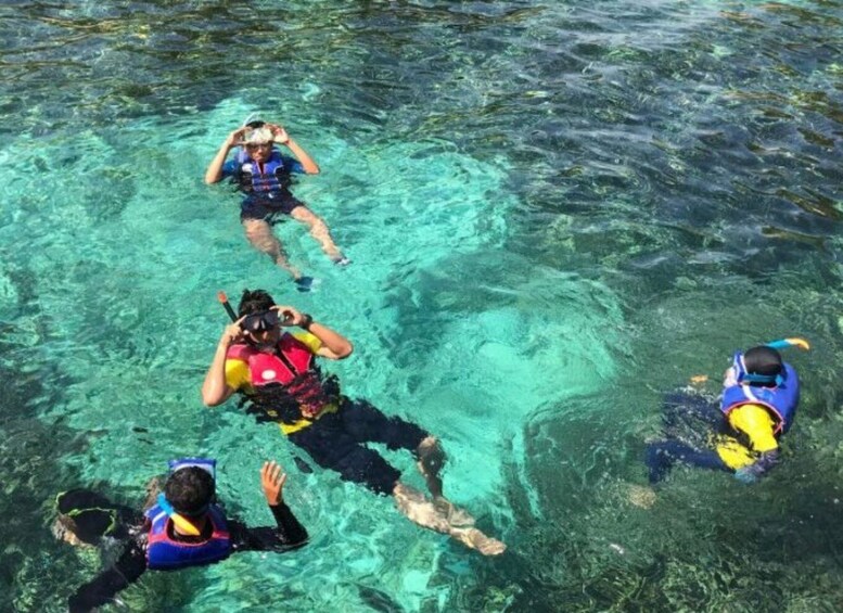 Four people snorkeling in clear blue water. 2
