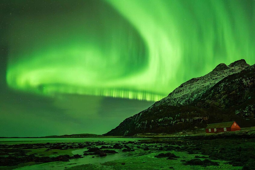 The Northern Lights over a coastal landscape with a red house. 1