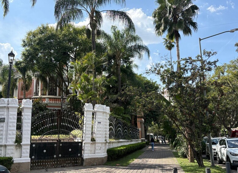 A gated entrance with a white fence, palm trees, and a paved walkway. 2