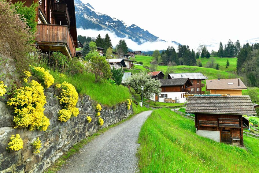 A rural village with houses, a stone wall, and mountains in the background. 2