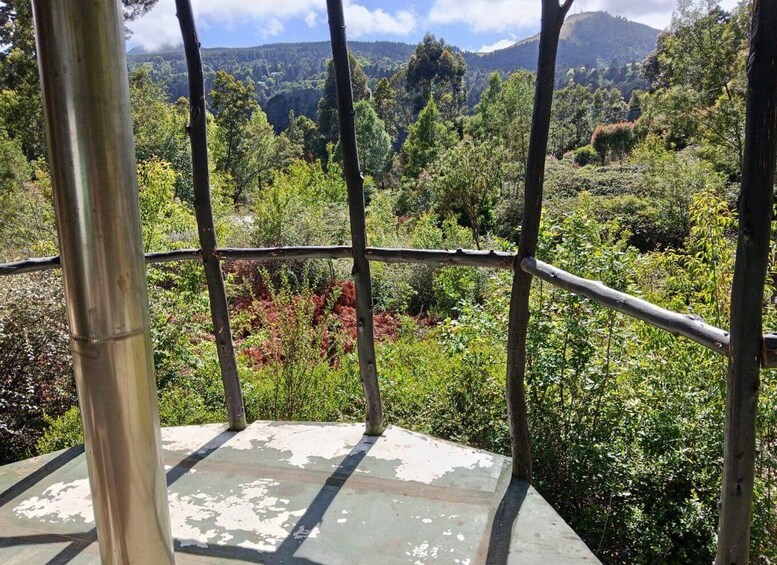 A metal railing overlooking a lush, green landscape with trees and hills in the distance. 2