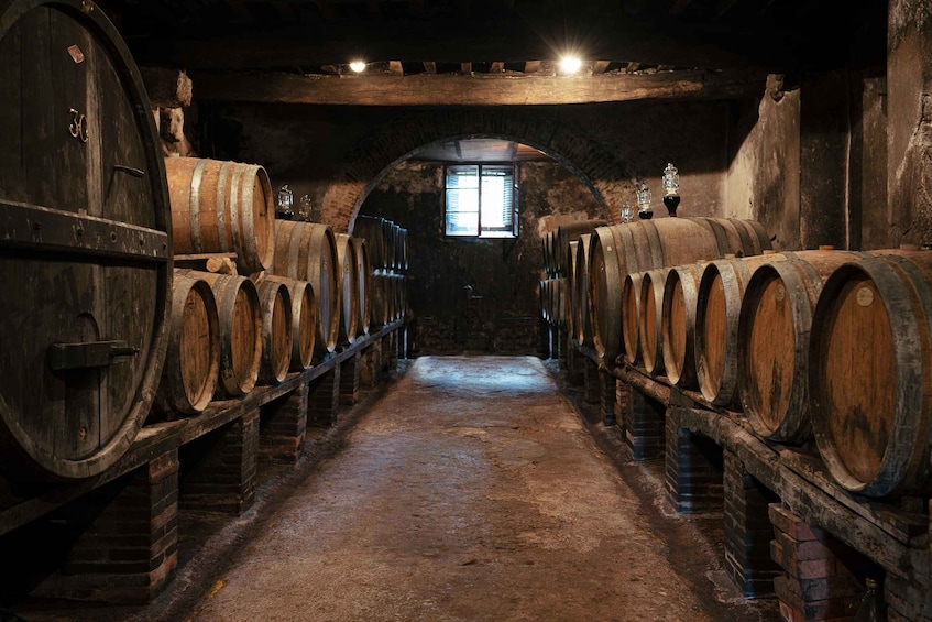 A cellar with wooden barrels arranged in rows, a brick floor, and a small window allowing natural light. 5