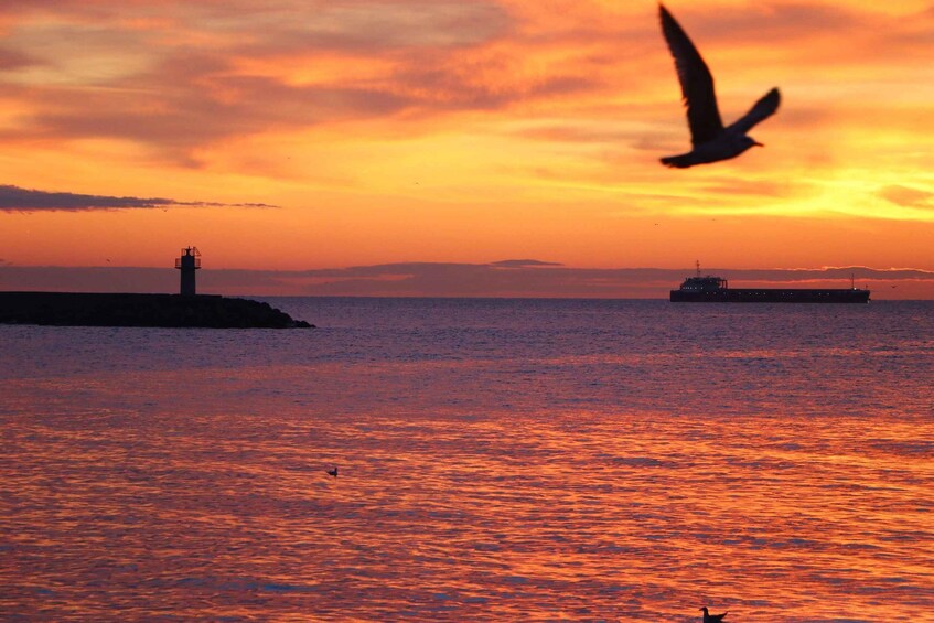 Picture 1 for Activity Tekirdağ: Walking Tour with Sea Views and Photo Stops 3