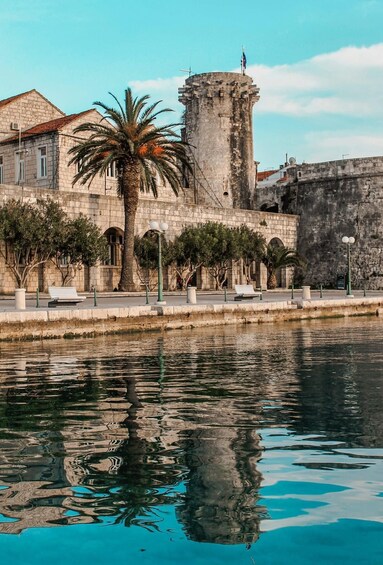 A waterfront with a palm tree, stone buildings, and a tower. 3