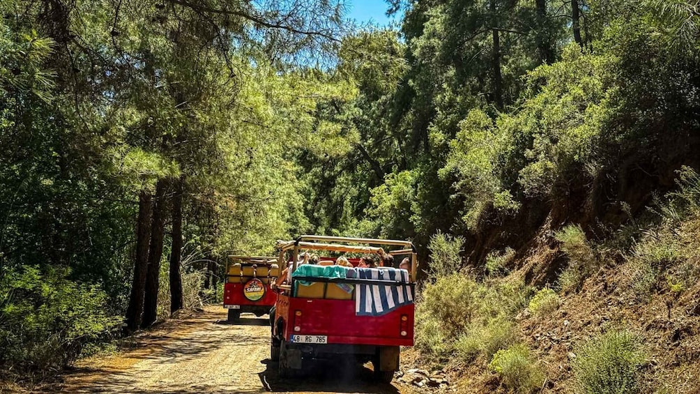 A safari vehicle on a dirt road surrounded by dense forest. 5