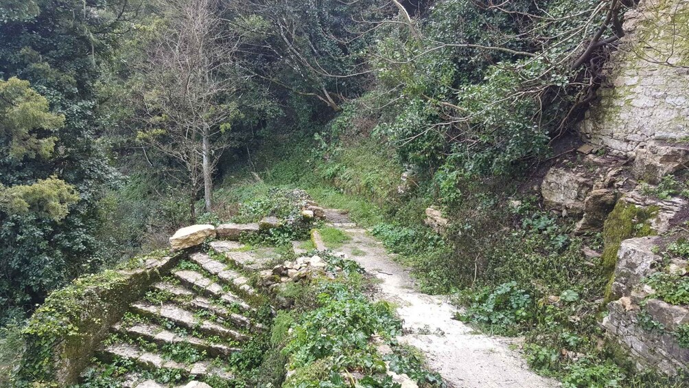 A stone staircase leading up a forested hillside. 4