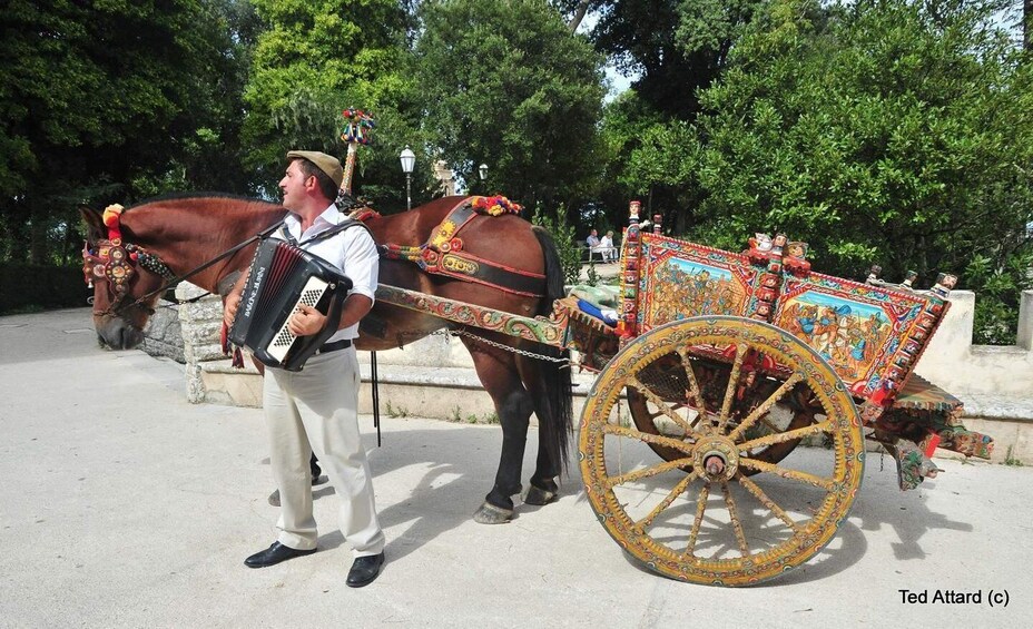 A man playing an accordion next to a decorated horse-drawn carriage. 1