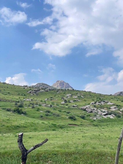 A grassy hillside with scattered rocks and a prominent mountain in the background under a partly cloudy sky. 1