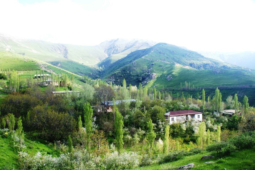 A mountainous landscape with a small house surrounded by greenery and trees. 2