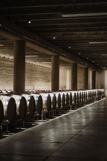A row of wine barrels in a dimly lit warehouse. 3