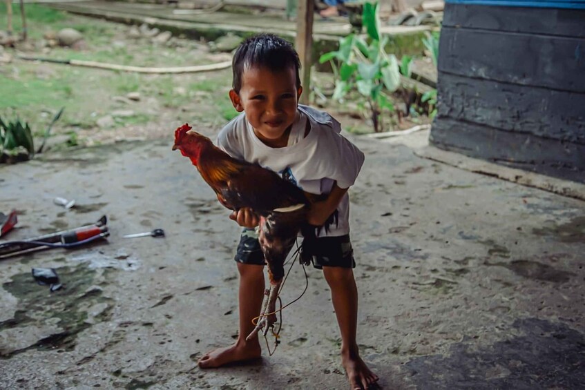 A child holding a chicken in an outdoor setting with a concrete floor and scattered tools. 2