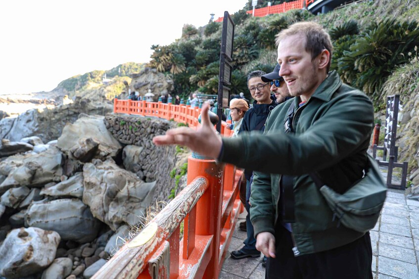 Picture 9 for Activity Circle of Life: Toi Misaki Wild Horses Tour in Miyazaki 4
