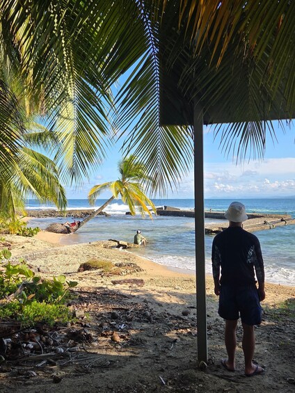 Picture 11 for Activity Uvita Island Historical & Nature Easy Hike – In Limon City 5