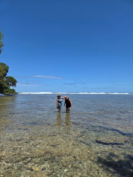Picture 1 for Activity Uvita Island Historical & Nature Easy Hike – In Limon City 3