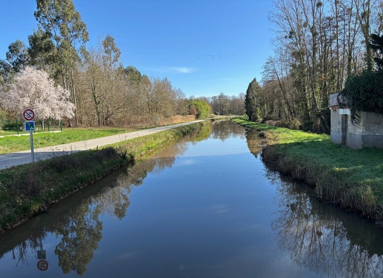 A calm river with a reflection of trees, a pathway, and a no-entry sign. 1