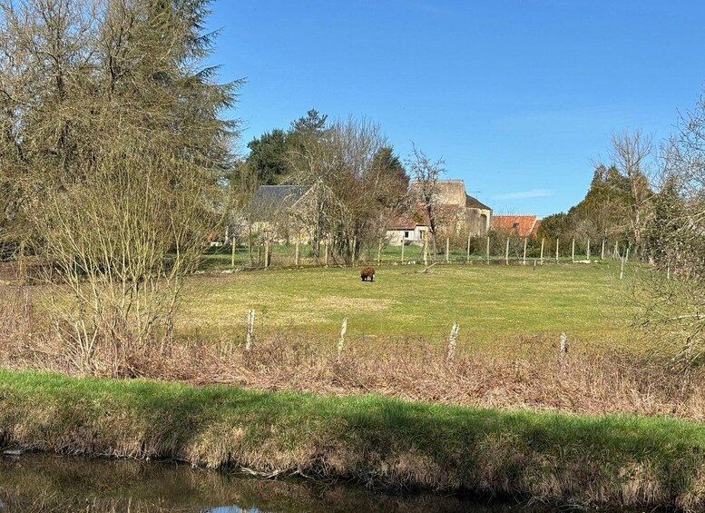 A grassy field with a pond, trees, and houses in the background. 3