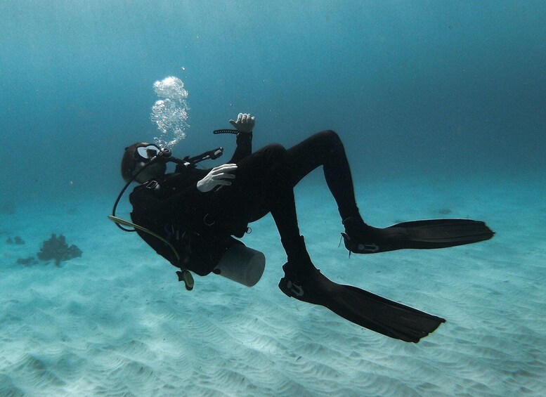 A scuba diver underwater with fins and a regulator. 1