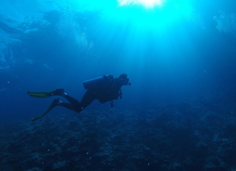 A diver with fins and a tank swimming underwater. 4