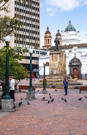 A plaza with pigeons, people, and historic buildings. 5