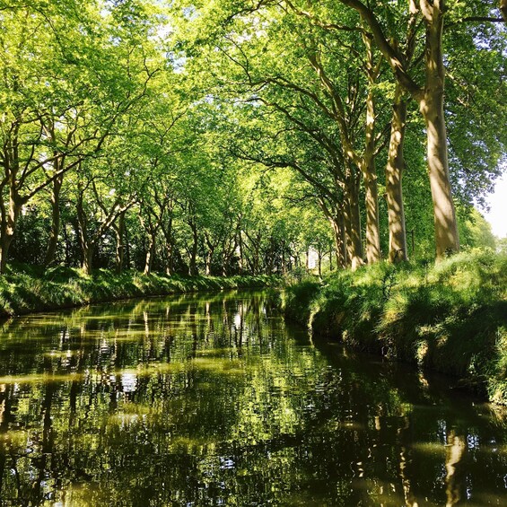 Picture 2 for Activity Riquet Cruise Tour: Discover the Canal du Midi in Toulouse 2