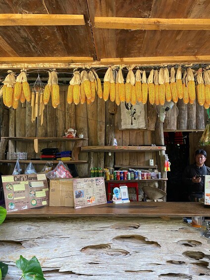 A rustic wooden structure with corn on the cob hanging for drying, a signboard for 'Cat's Farm', and various canned goods and beverages on shelves. 2