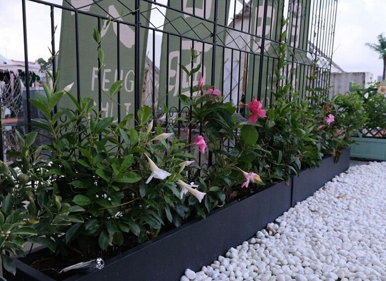 A garden with various plants and flowers, a metal fence, and a pathway of white pebbles. 2