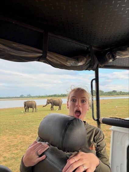 A person in a vehicle with a view of elephants and a body of water. 3