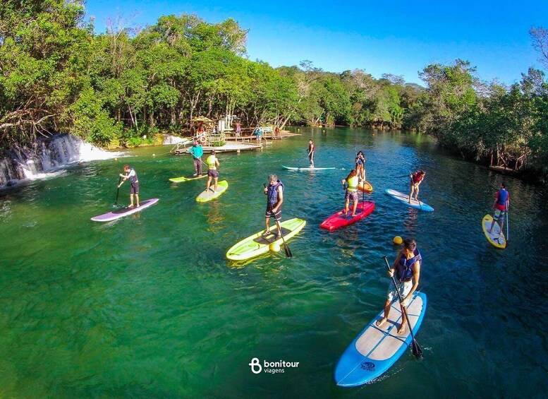 People paddleboarding on a calm river surrounded by lush greenery. 1