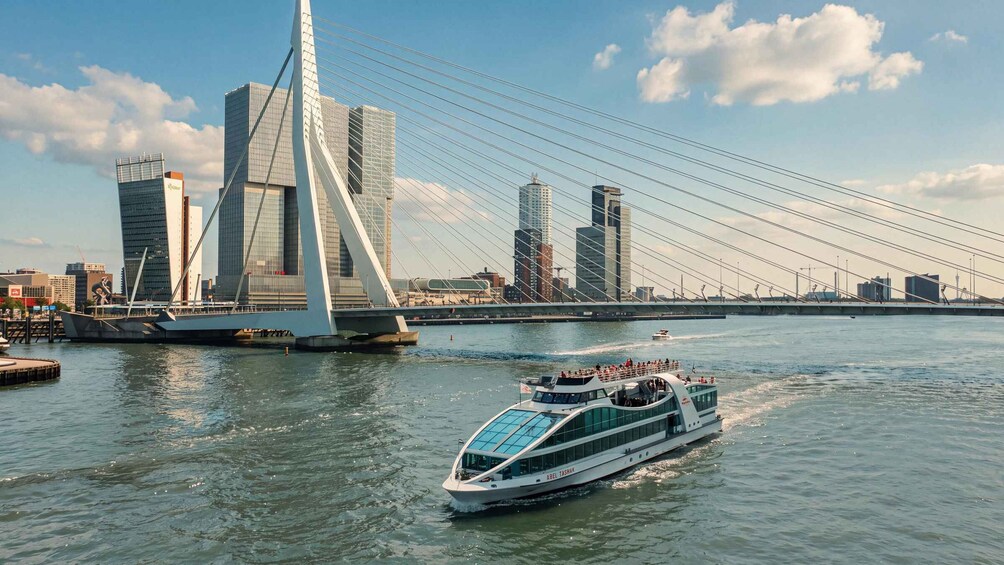 Picture 8 for Activity Rotterdam: Highlights &Harbourtour 5