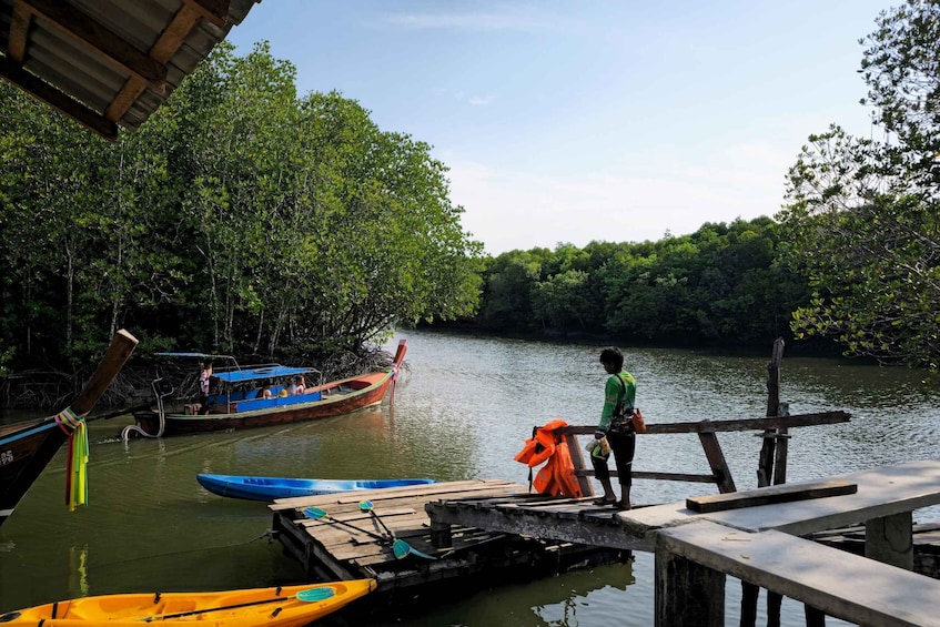A wooden dock extending into a calm river surrounded by dense mangrove trees. 1