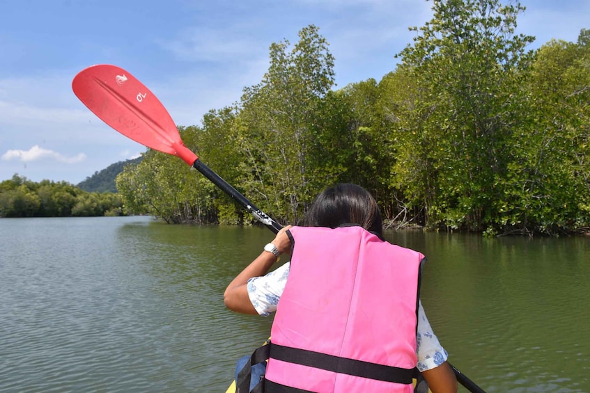 A person kayaking on a calm river surrounded by dense mangrove trees. 5