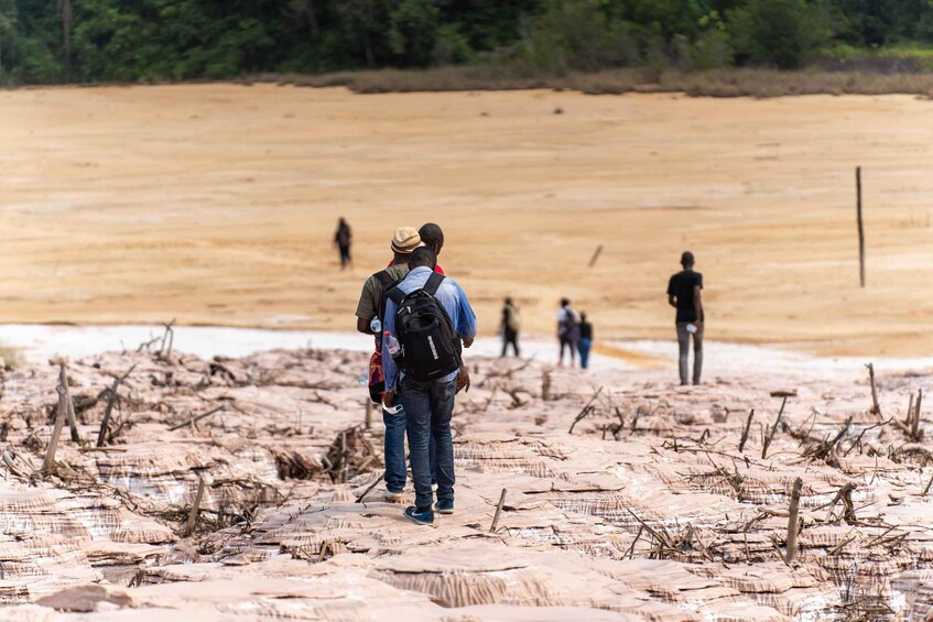 A group of people walking on a sandy beach with sparse vegetation. 2