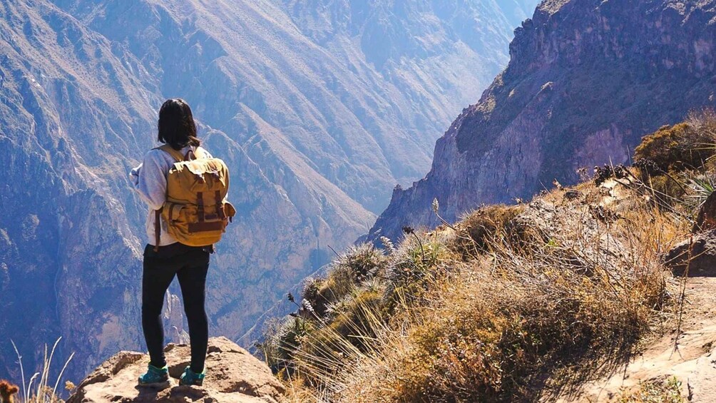 A person standing on a rocky outcrop with a backpack, overlooking a mountainous canyon. 4