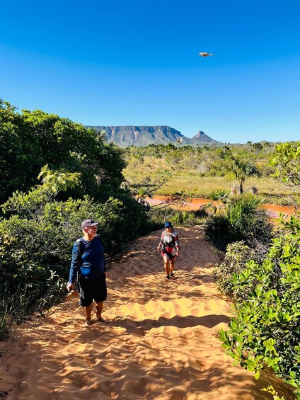 Two people walking on a sandy path surrounded by greenery and a mountain in the background. 5