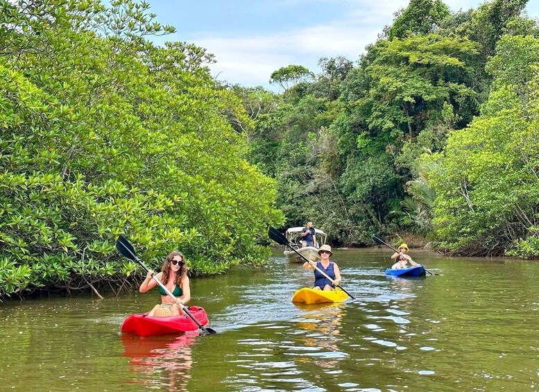 People kayaking on a river surrounded by dense mangrove trees. 1