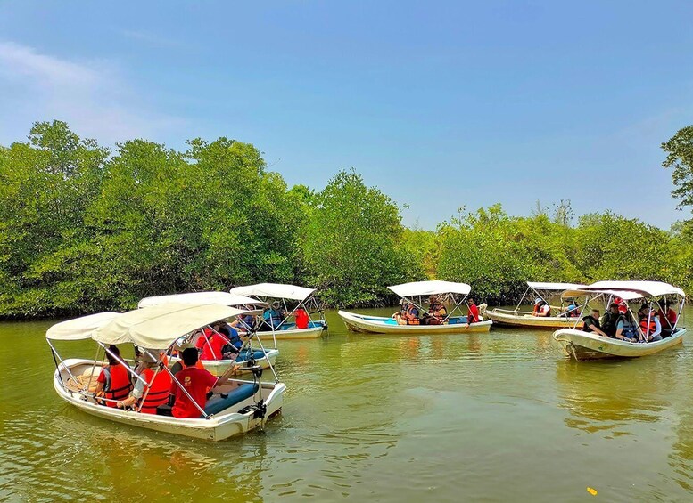 Several small boats with canopies, passengers wearing life jackets, and a backdrop of dense mangrove trees. 4