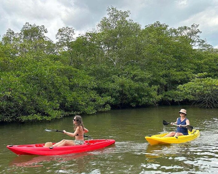 Two people kayaking on a river surrounded by dense mangrove trees. 2