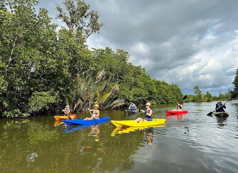 People kayaking on a calm river surrounded by dense mangrove trees. 3