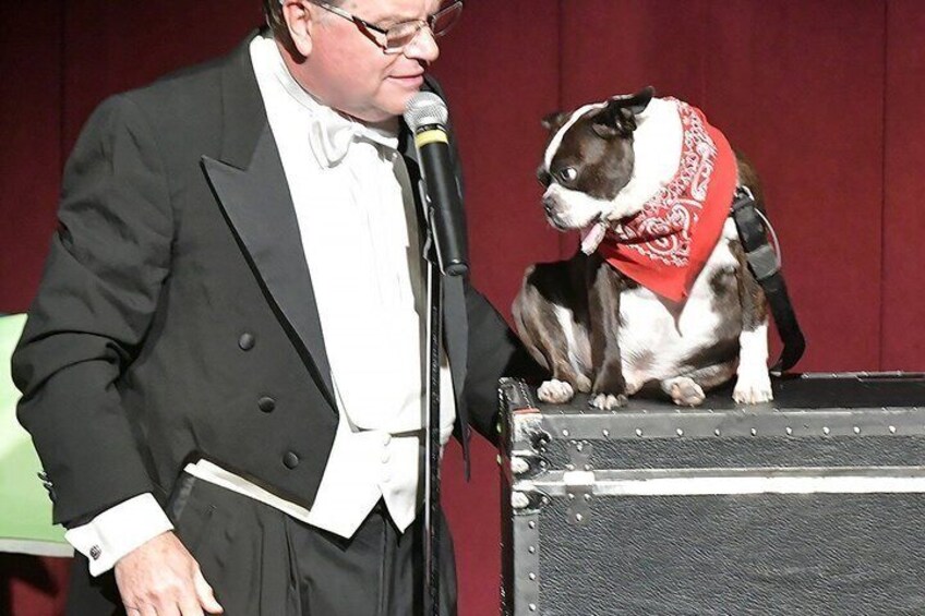 A man in a black suit and bow tie standing next to a dog wearing a red bandana on a stage. 4
