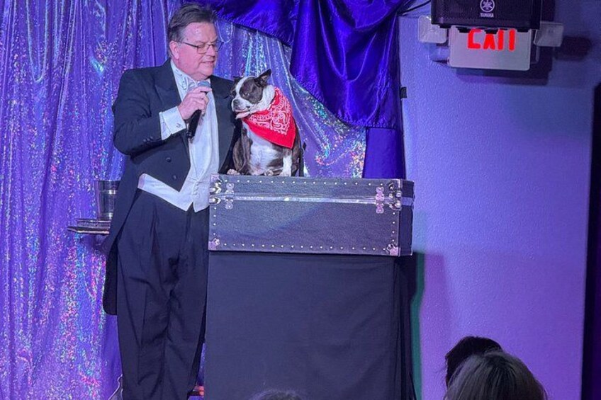 A person in a suit with a dog on a stage. 2
