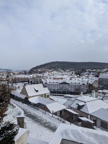 A snow-covered town with historic buildings and a hill in the background. 4