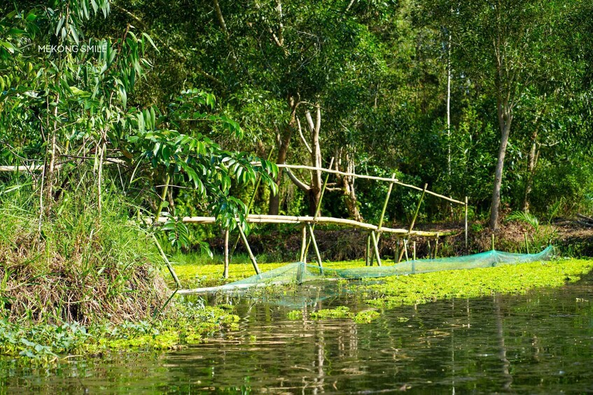 A serene pond with bamboo structures and green aquatic plants. 3