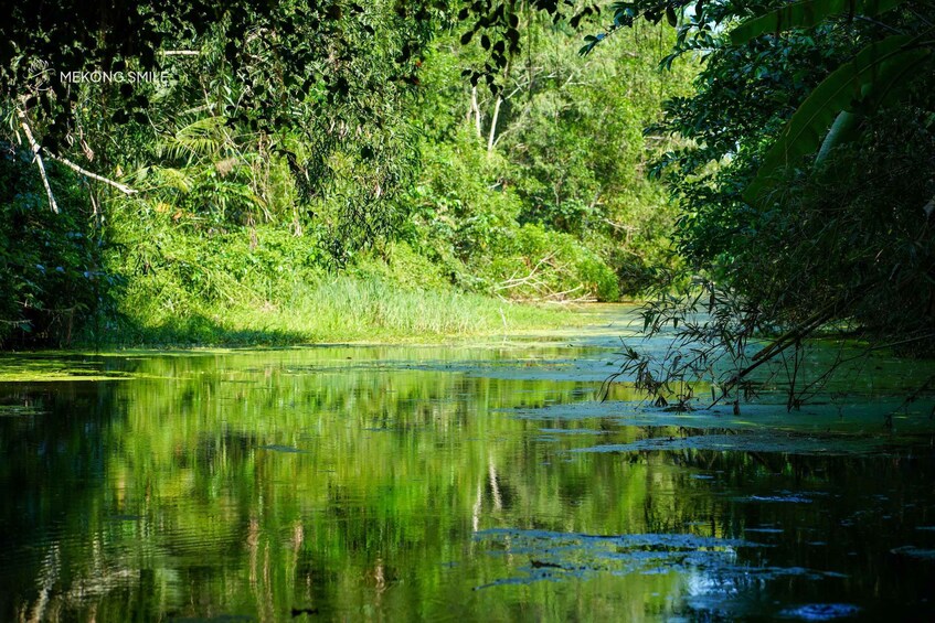 A calm river surrounded by dense greenery and trees. 5