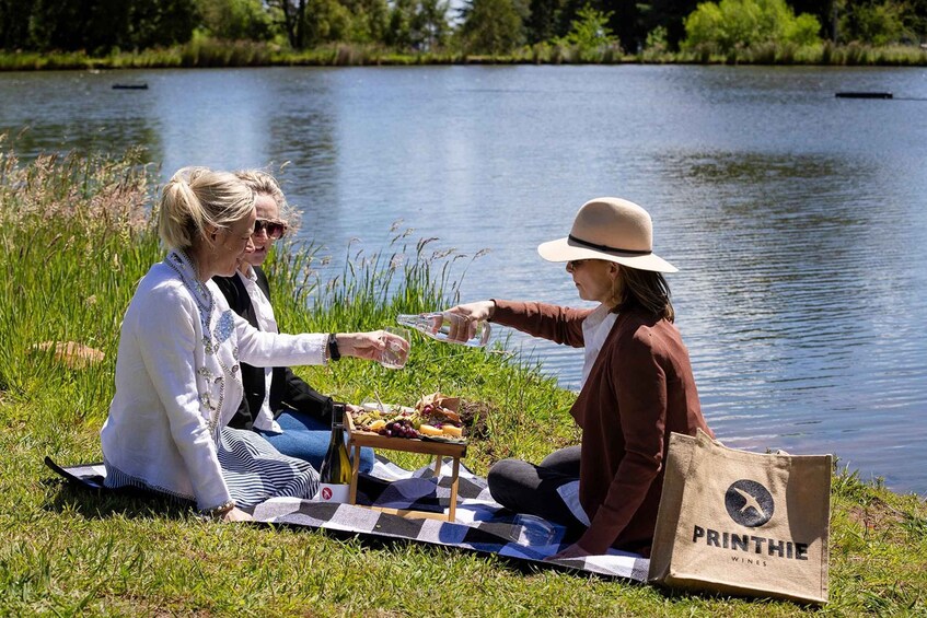 Two people sitting on a checkered blanket by a lake, sharing a meal with a picnic basket and a wine bottle. 4