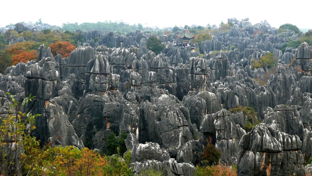 Picture 6 for Activity Shanghai: 4-Day Yunnan Discovery Tour with Flights 2