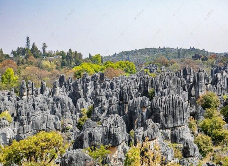 Picture 4 for Activity Shanghai: 4-Day Yunnan Discovery Tour with Flights 4