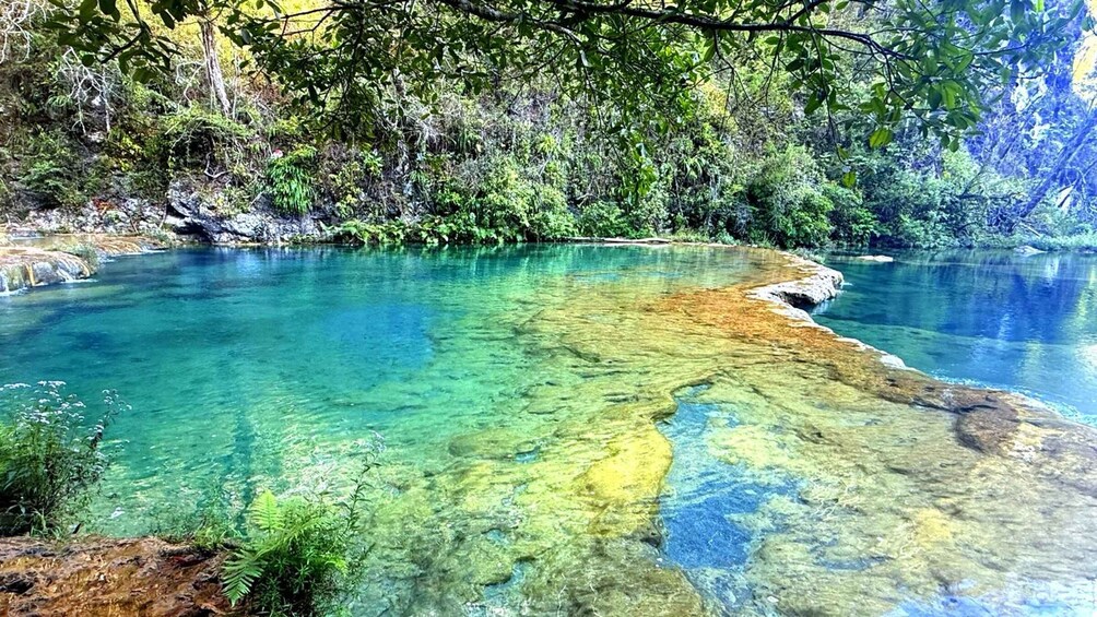 A clear, turquoise river with visible sediment layers, surrounded by dense forest. 3
