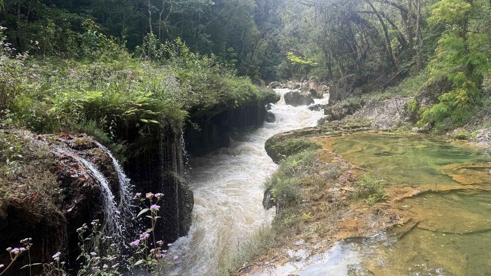 A waterfall in a forested area with clear water and surrounding greenery. 5