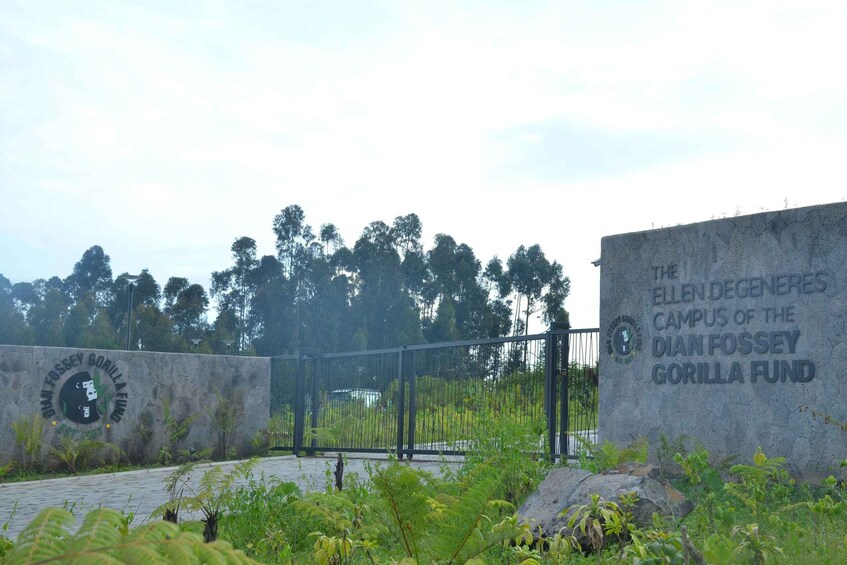 A stone sign with the text 'The Ellen DeGeneres Campus of the Dian Fossey Gorilla Fund' and a logo. 2