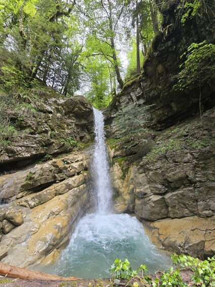 A waterfall in a forested area with rocky terrain and lush greenery. 4